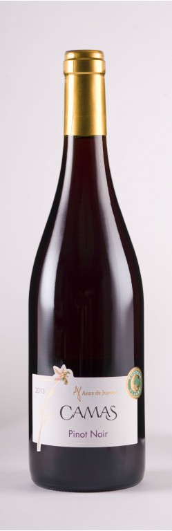 PINOT NOIR CAMAS ADJ 