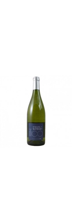 ILLICO BLC IGP Cotes catalanes BIO
